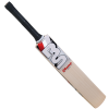 Cricket Bat Champion 606 FRONT